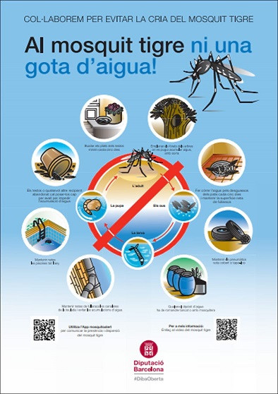 Cartel informativo diputacio barcelona mosquito tigre