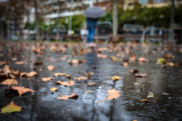 Archivo - Varias hojas en el suelo a causa de la lluvia, a 17 de enero de 2023, en Barcelona, Catalunya (España)