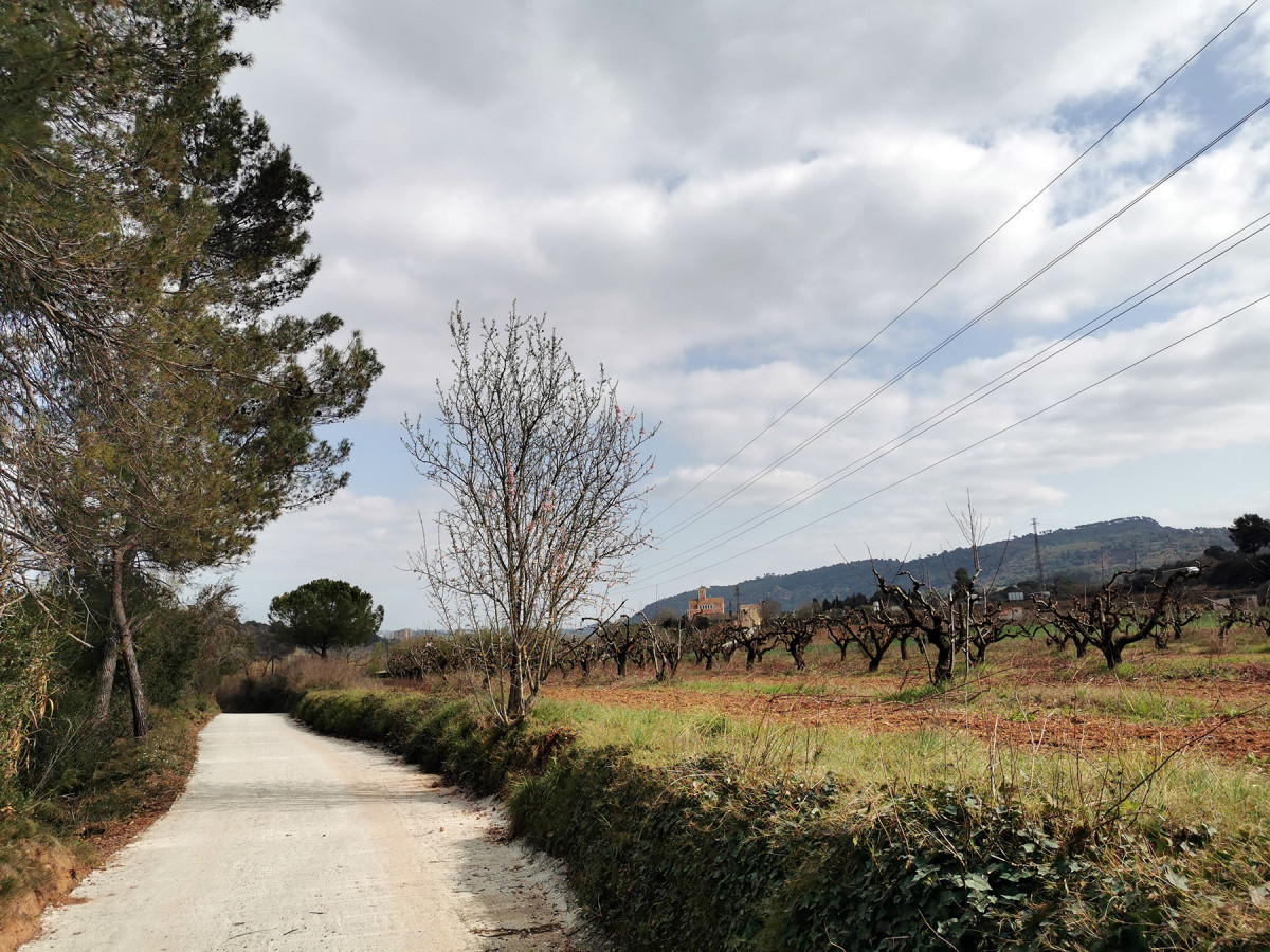 Zona agricola Castellvi