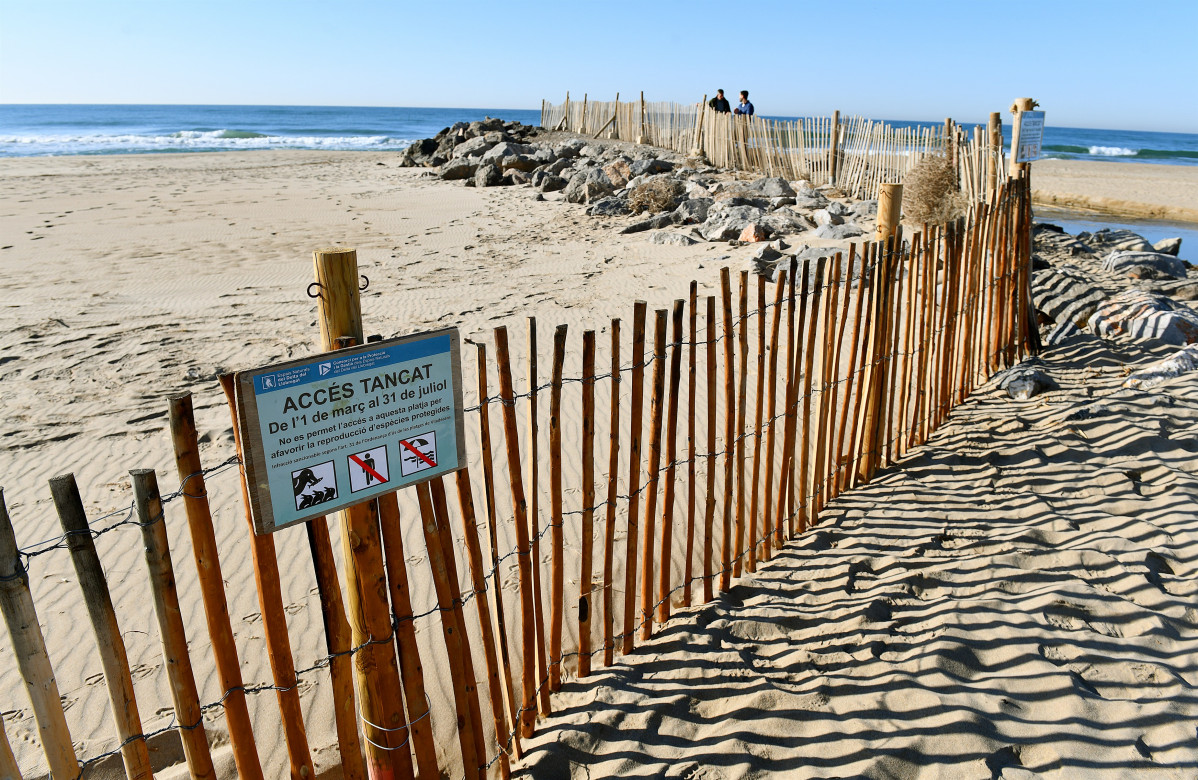 El AMB asume la gestión de las playas y dunas protegidas del delta del Llobregat (Barcelona)