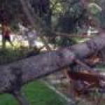 Carlos Bernal Lorente 