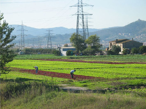 Fotoparcagraribaixllobregat