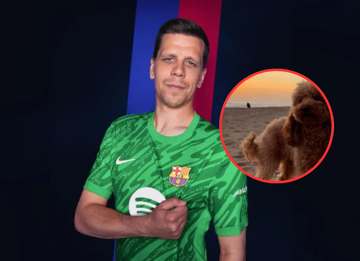 La mejor noticia posible: localizan sana y salva a Nala, la perrita de  Wojciech Szczesny