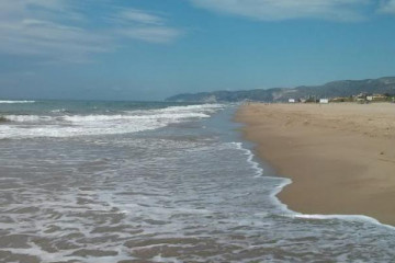 Playagava