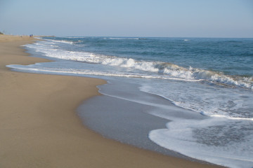 Playagava 1