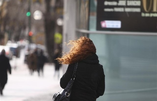 Viento