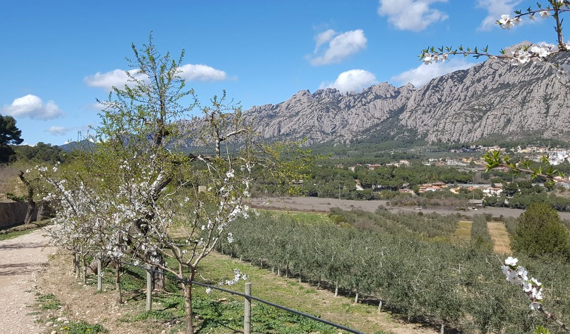 Parc Rural de Montserrat