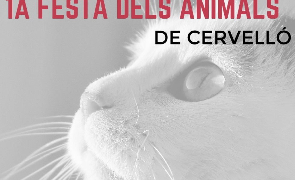 FIESTA ANIMALES CERVELLO