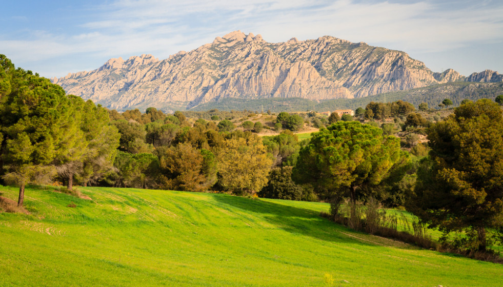 Parc rural de Montserrat