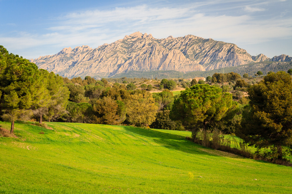 Parc rural de Montserrat