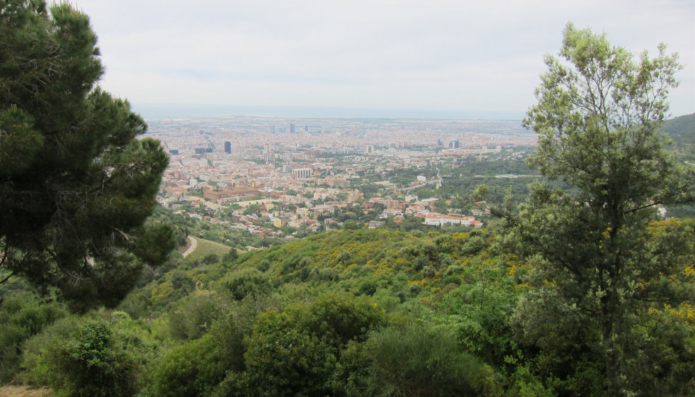 Parc collserola