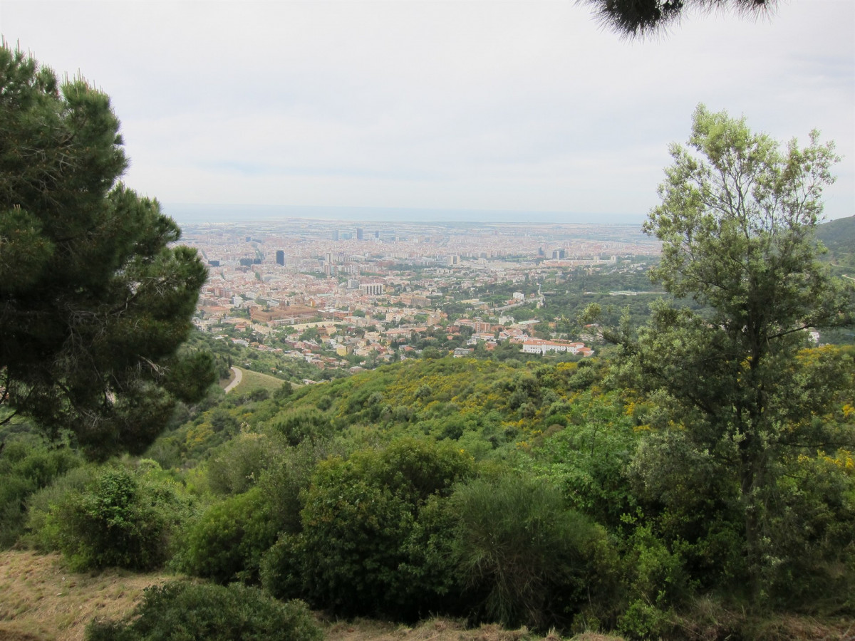 Parc collserola