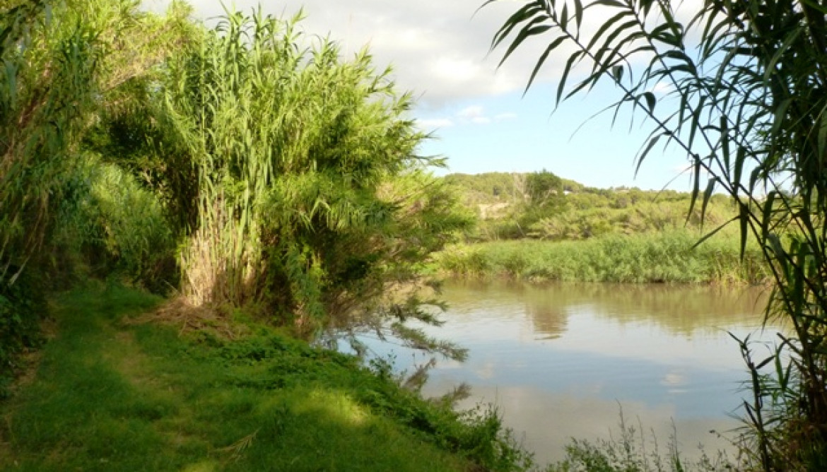 Rio llobregat