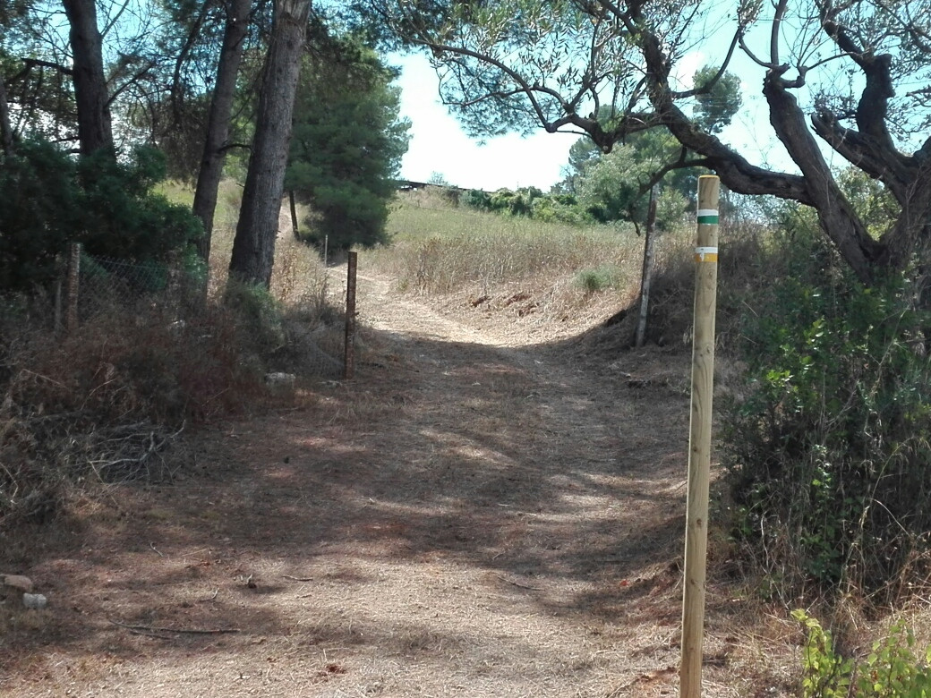 Cami ral senyalitzat 2 (1)