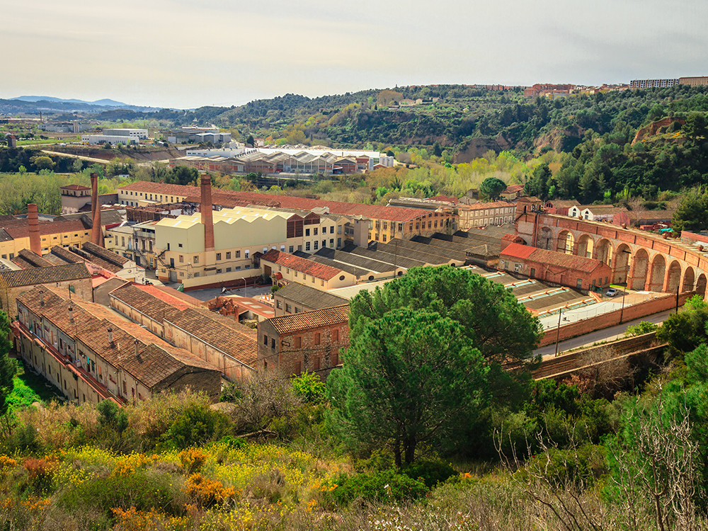 Colonia sedo