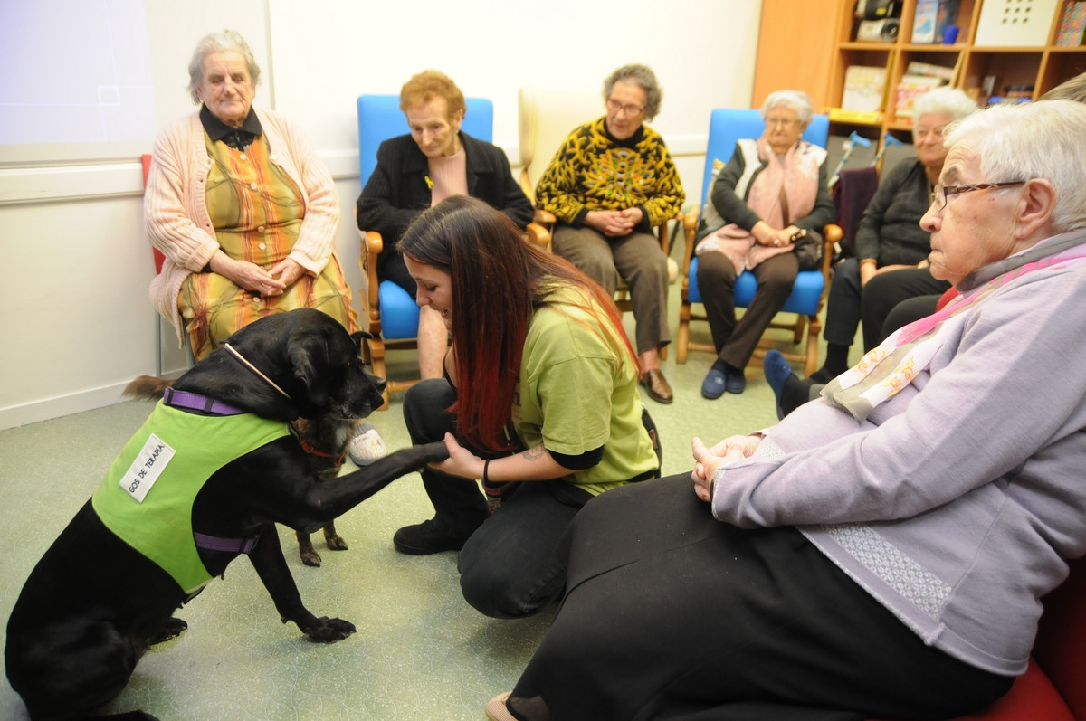 Terapia con perros para jovenes y mayores del prat