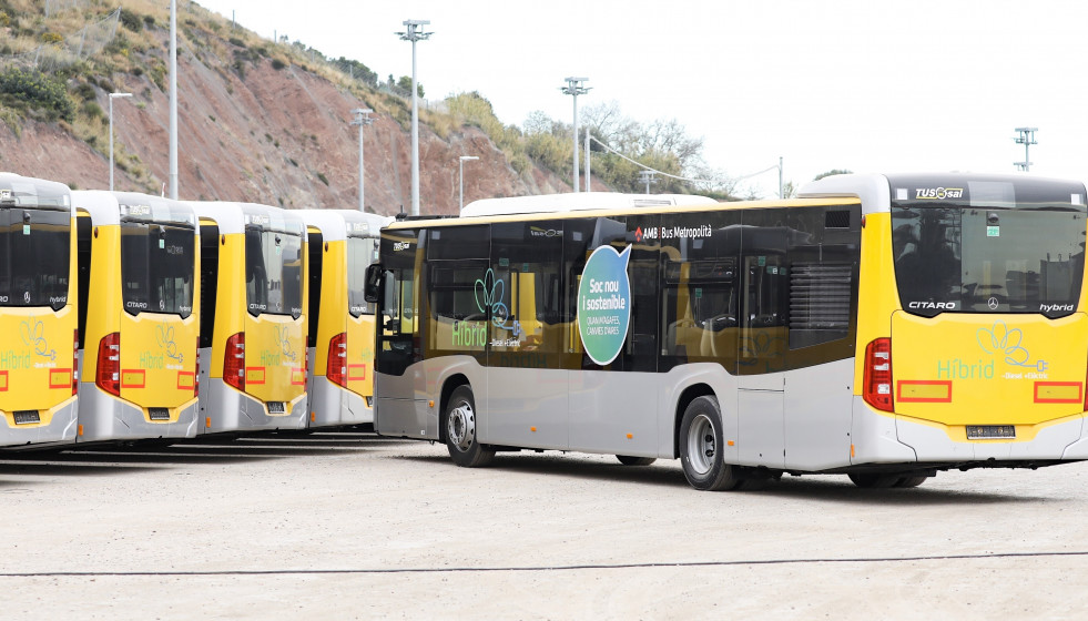 AUTOBUSES AMB
