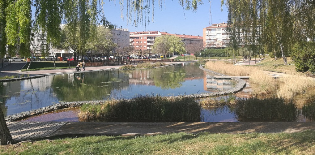 Lago olesa parque municipal 