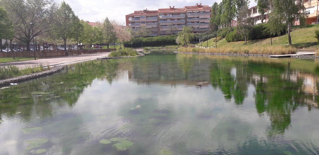 Lago olesa