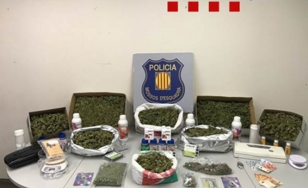 Marihuana incautada por Mossos dEsquadra