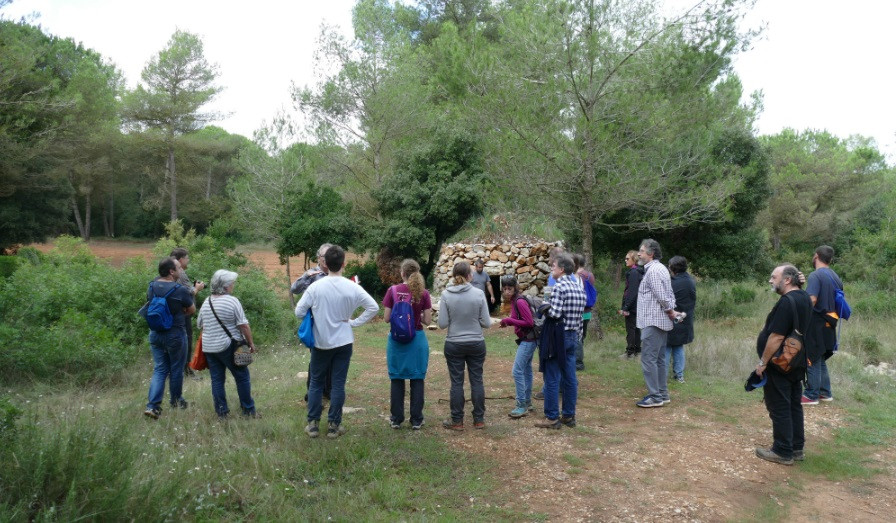 Ruta el ferret begues