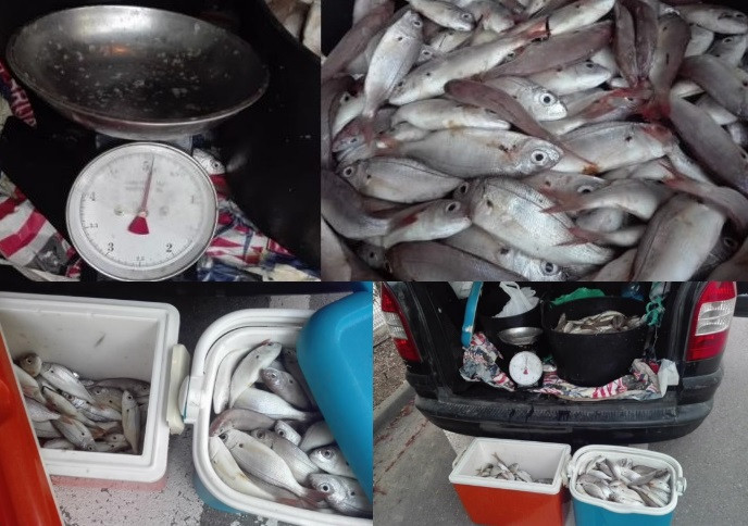 Venta ilegal pescado martorell