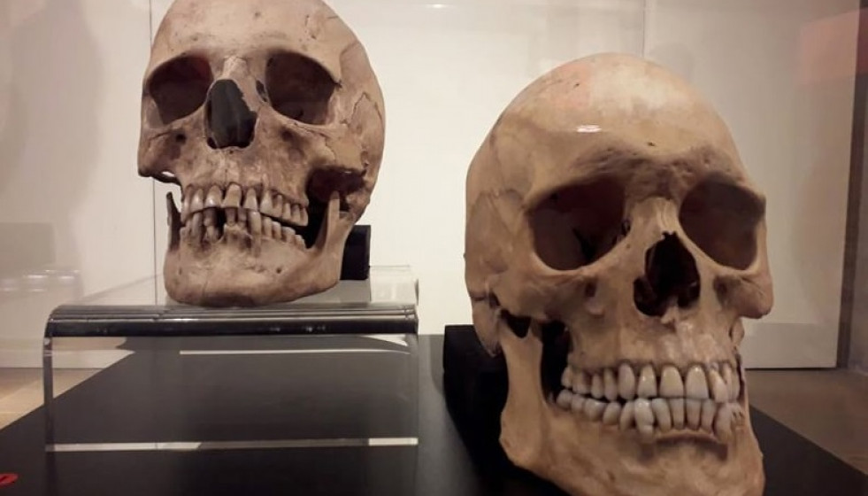 Huesos exposicion diputacio