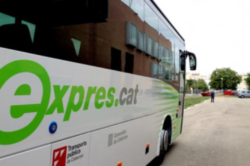 Bus