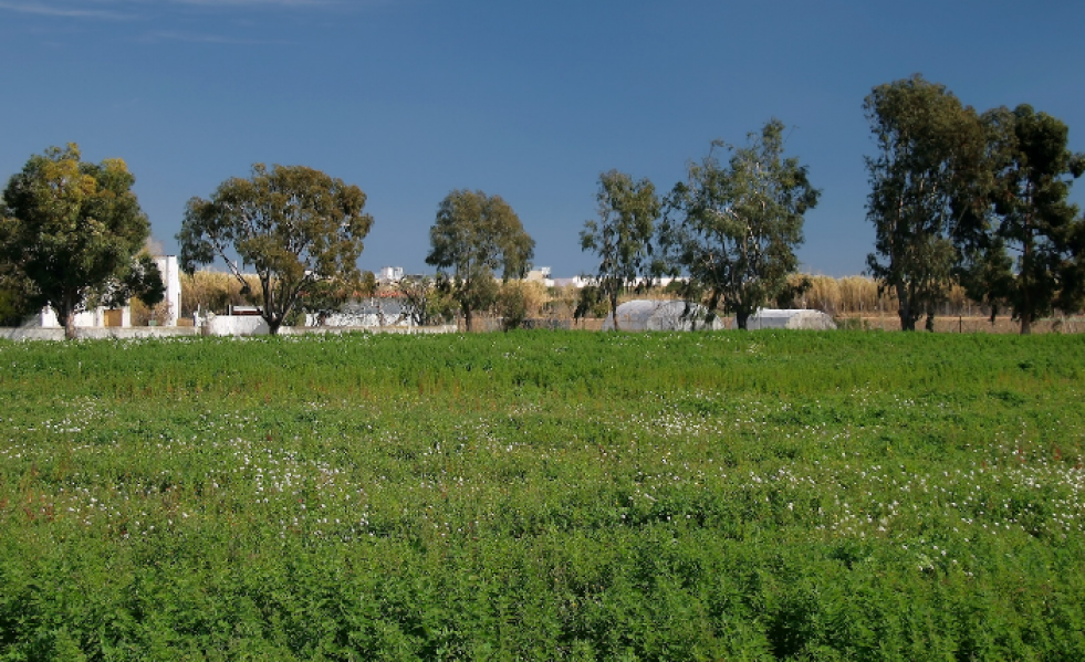 Parque agrario baix llobregat (imagen de archivo 1)