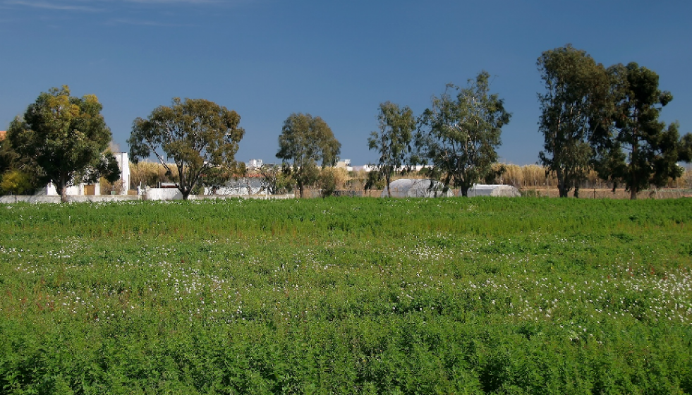 Parque agrario baix llobregat (imagen de archivo 1)