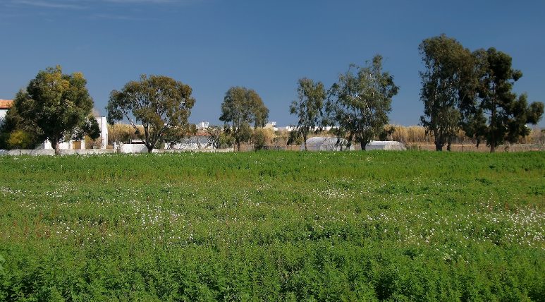 Parque agrario baix llobregat (imagen de archivo 1)