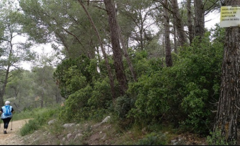Caminatasolesa