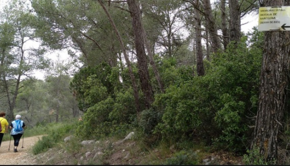 Caminatasolesa