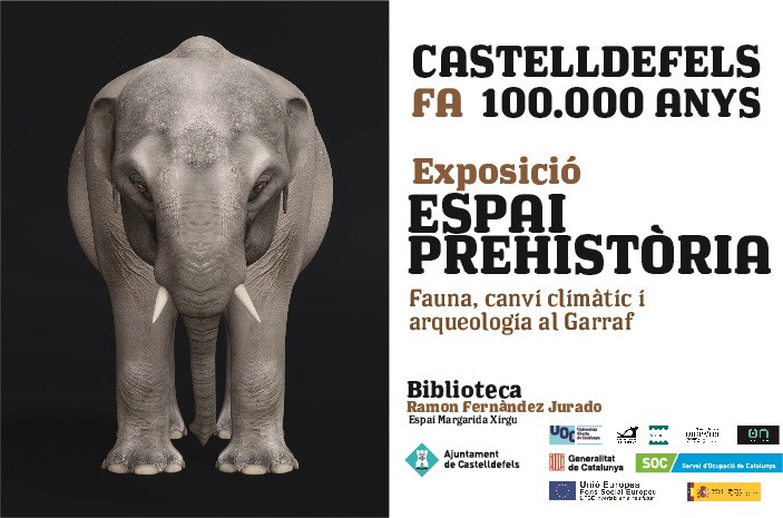 Elefante1