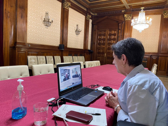 La delegada del Gobierno, Teresa Cunillera, en videoconferencia