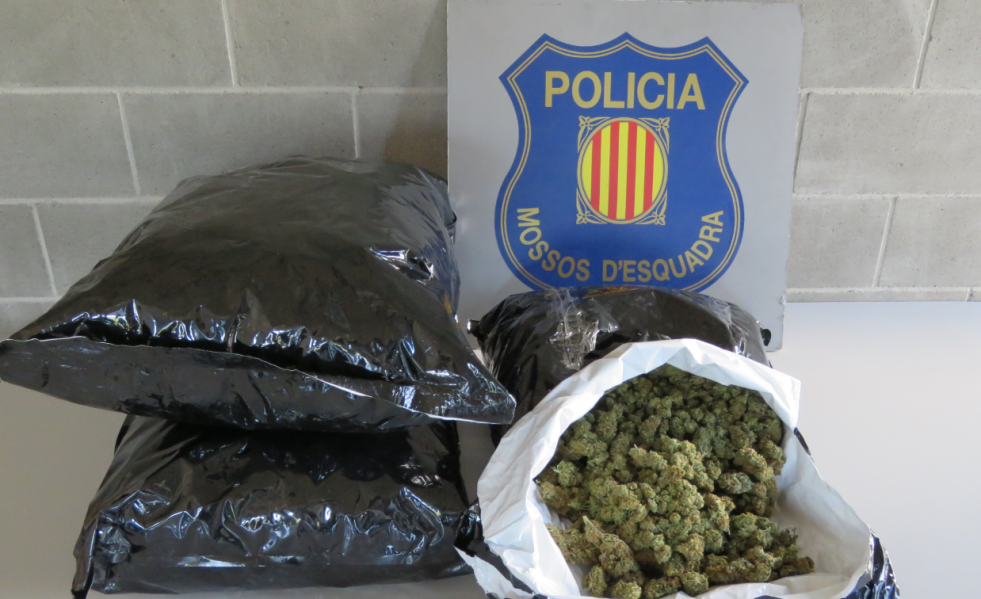Cogollosmarihuana