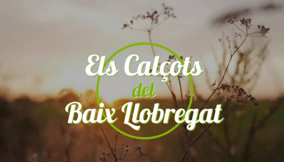 Imatge calçot1