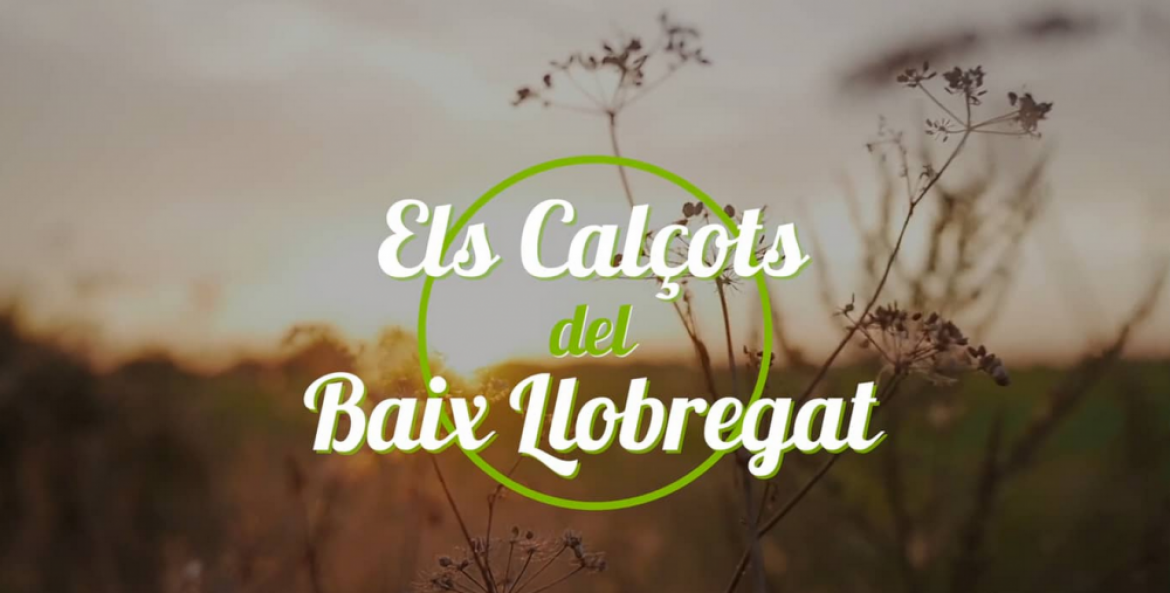 Imatge calçot1