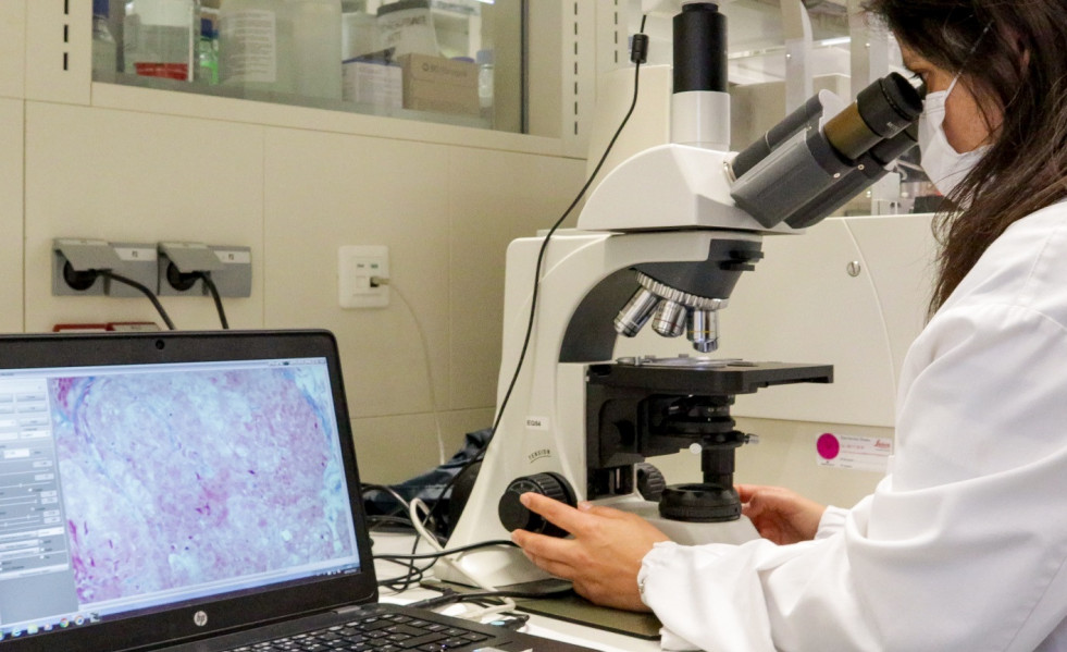 Investigación del nanomedicamento para tratar la enfermedad rara de Fabry.