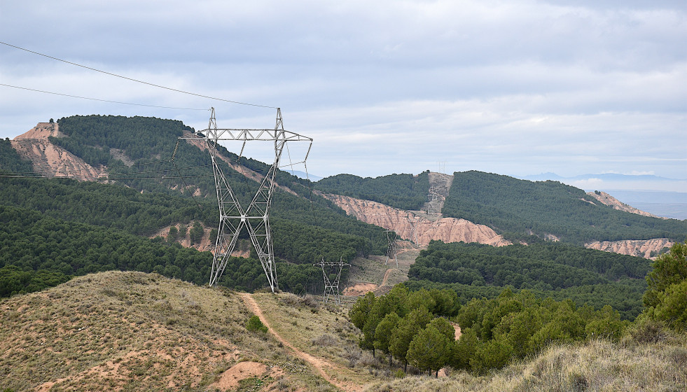 Un estudio de la UAB refleja que el espacio bajo líneas eléctricas en zona forestal protege biodiversidad y fauna