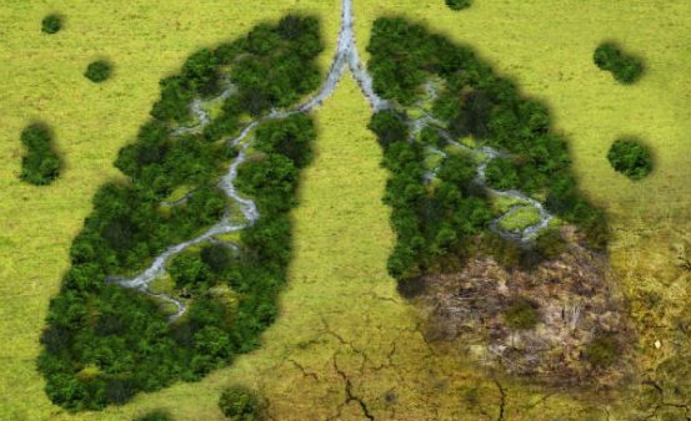 EMERGENCIA CLIMATICA