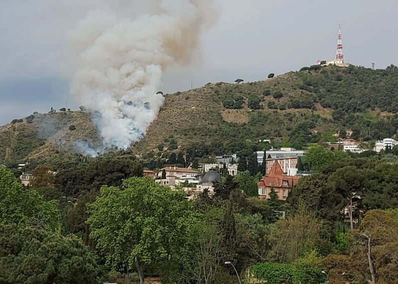 Collserola2