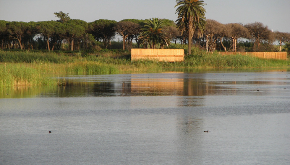 Archivo - Delta del Llobregat