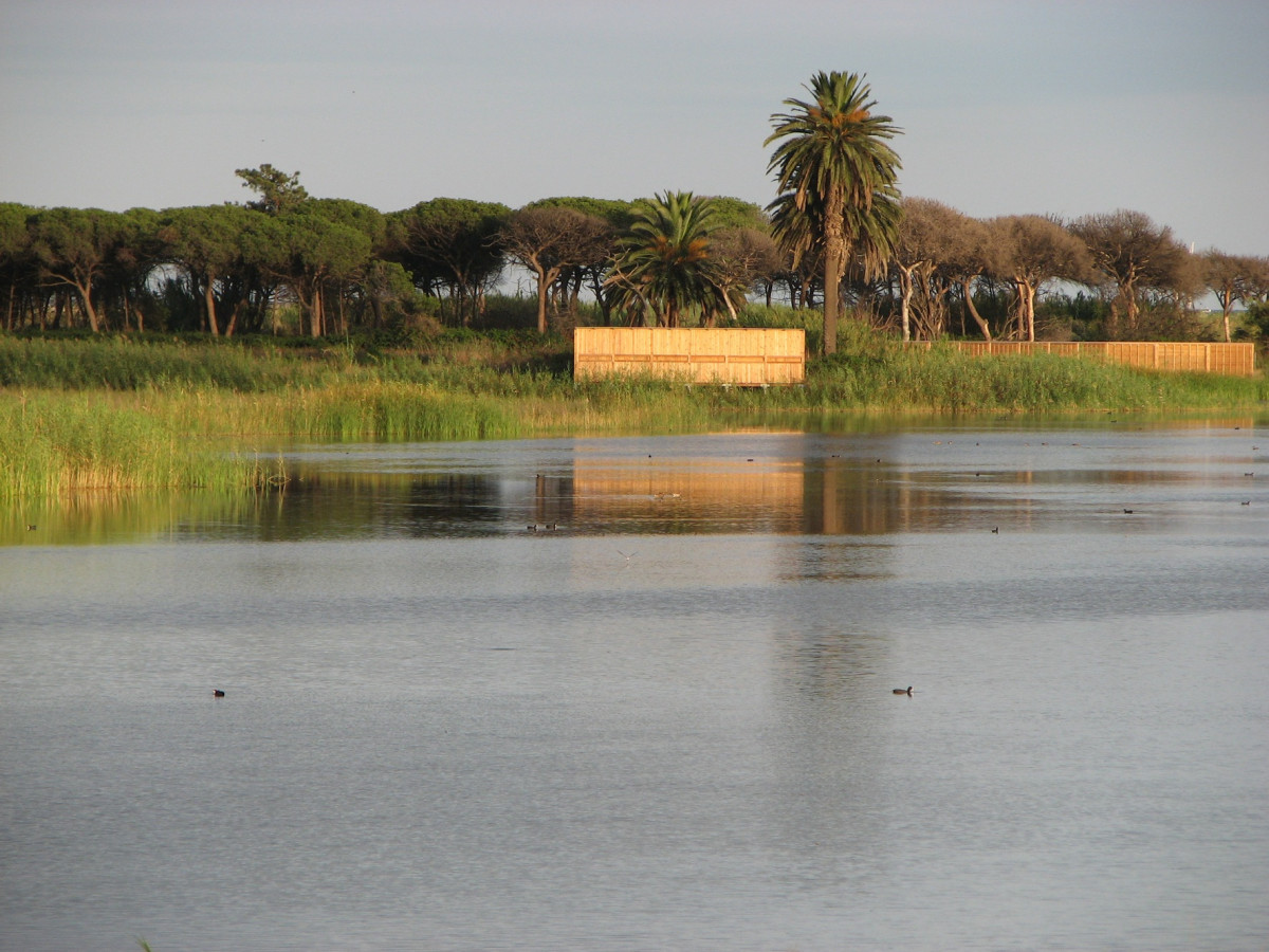 Archivo - Delta del Llobregat