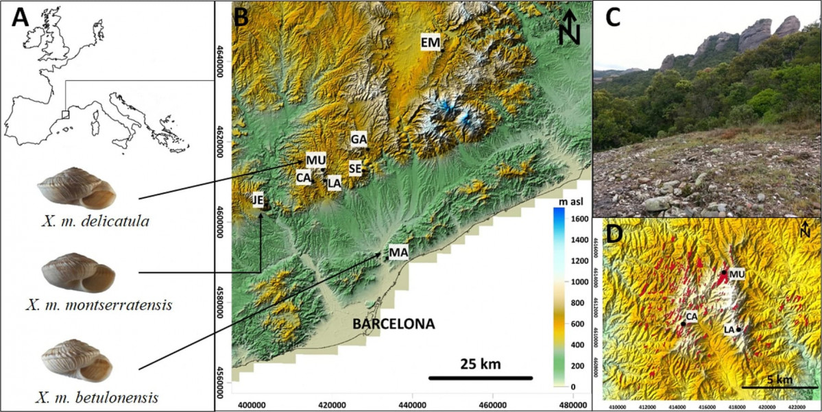 CARGOL Xerocrassa Montserratis mapa Nature