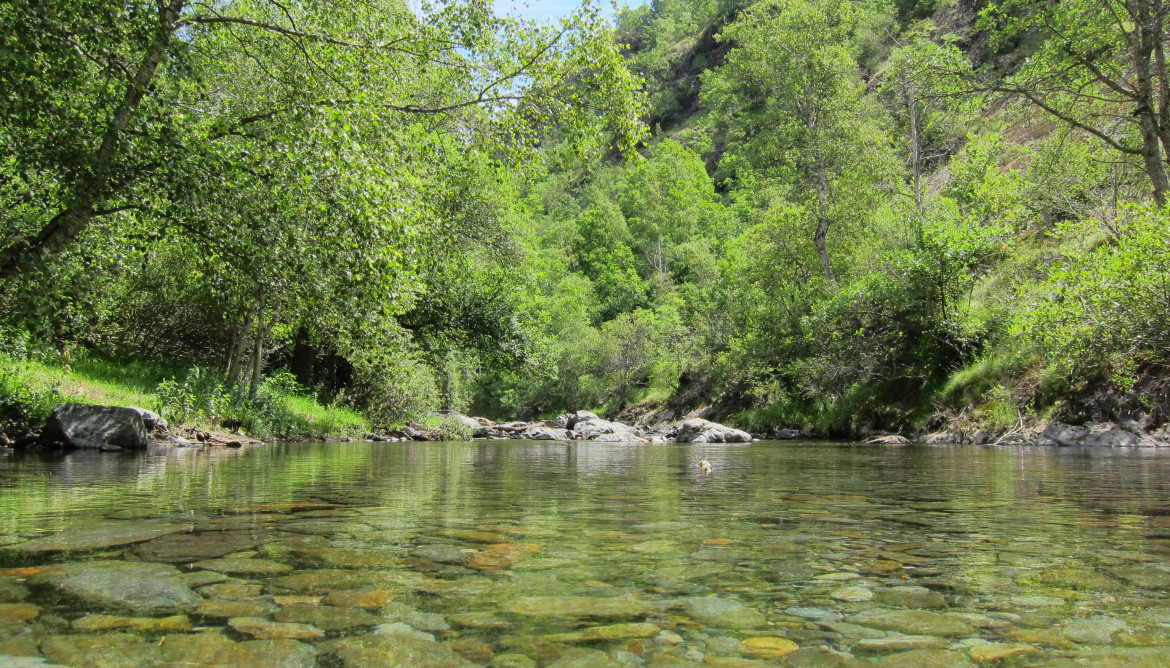 Archivo - Río De Montaña, Bosque De Ribera, Agua