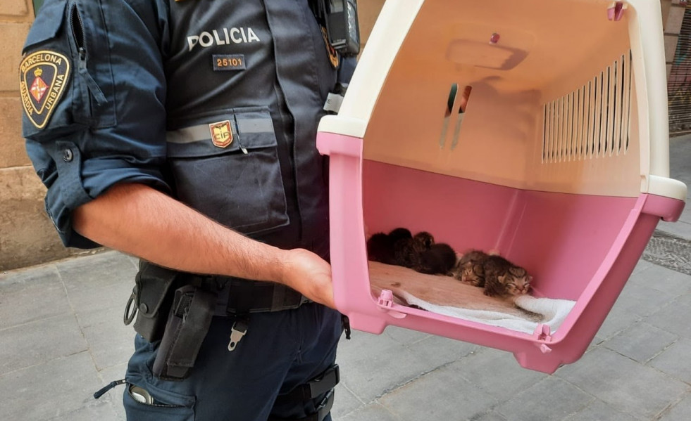 Imagen de un agente de la Guardia Urbana con algunos de los animales intervenidos en Barcelona