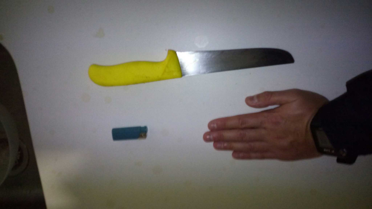 Cuchillo empleado por una joven acusada de un delito de violencia en el ámbito familiar