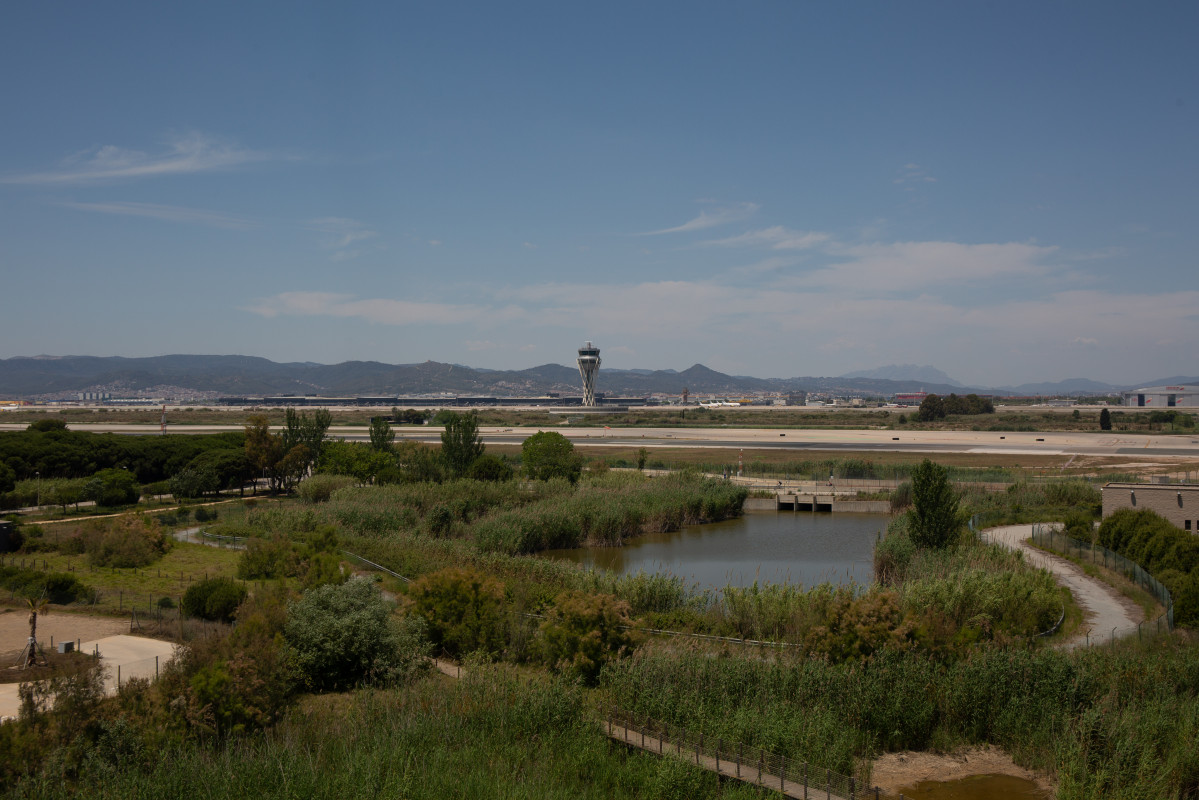 El aeropuerto de de Josep Tarradellas Barcelona-El Prat, cerca del espacio protegido natural de La Ricarda, a 9 de junio de 2021, en El Prat de Llobregat, Barcelona, Cataluña (España).