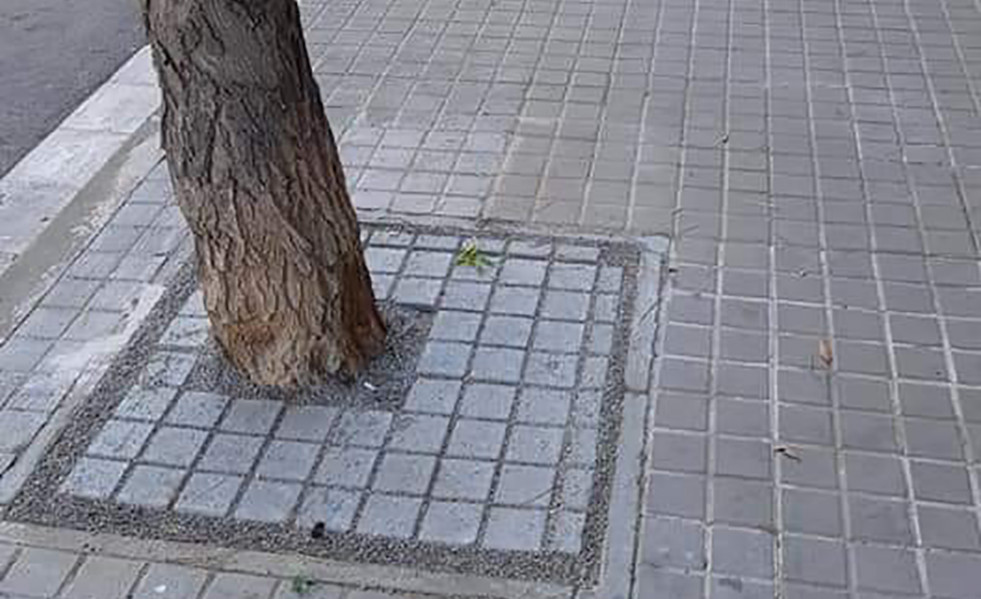 Escocells
